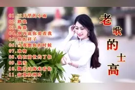 11首经典老歌DJ串烧