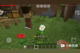 我的世界:生存第二集，麦子怎么收获?