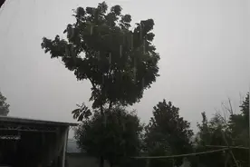座标湖南常德15天38度高温天后下雨了，发布暴雨橙色预警视频封面