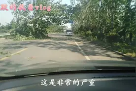 昨天临沂傍晚来了一场暴风雨，你们看看河东的滨河东路一片狼藉