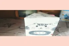 第一次给大家发盲盒，但不是第一次做，希望大家喜欢视频封面