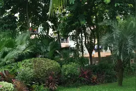 浪子走一走深圳盐田的滨海栈道，旁边的海景房是你想都不敢想的梦视频封面