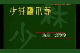 少林鹰爪拳法完整演练，请您欣赏视频封面