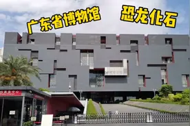 广东省博物馆：一座唯一有恐龙化石的藏馆，快来看吧视频封面