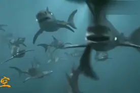 女孩天生拥有魔力，碰海水就可以控制食人鲨，最终成为鲨鱼召唤师