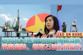 中国南海被越南占领29个岛礁，越南填海造陆窃取石油驱赶中国渔民
