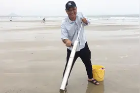 闲牛这个赶海工具太实用了，能直接将皮皮虾从洞里吸上来，好过瘾