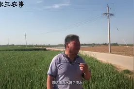 农村69岁大爷一亩地收入900斤麦子，够一家人吃吗？视频封面