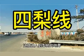 四平到梨树走这条宽阔的大马路，限速60车辆来来往往连接两地生活视频封面