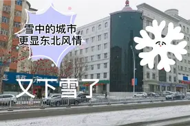 大年初四，东北黑龙江省鸡西市，又下雪了！雪中漫步，心情美美的