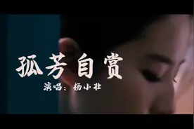《孤芳自赏》杨小壮壮每当黑夜来临的时候我总很狼狈。视频封面