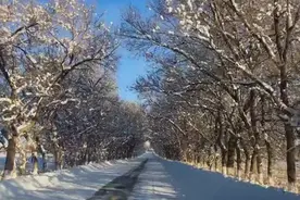 塔城市—塔尔巴哈台山冬季迷境的云端！