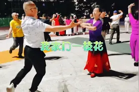 新疆舞曲巜我家门前一枝花》歌曲动听优美。