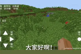 教程:用手机玩的Java版，我的世界怎样加模组分享!