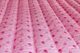 内蒙的大姐用18斤旧棉花做了一个床垫，只花了60元，你觉得值吗？视频封面