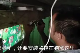 夸张了，爱狗老公要在狗窝里安装监控，只因为拉布拉多快要生小狗