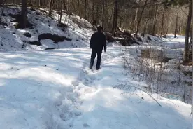 东北小兴安岭，原始森林全长3666米海拔1234.5，你们想体验吗？