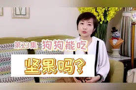 狗狗能吃坚果吗？#科学养宠