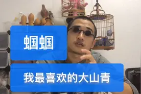 野生蝈蝈的首选品种，大山青蝈蝈，我每年夏天的最爱，物美价廉视频封面