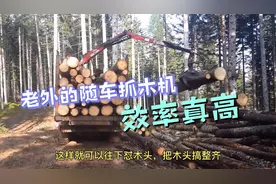 老外的随车抓木机厉害的视频封面