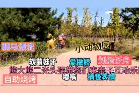媚传丰台怪村万科农场亲子动物园门票免费不虚此行亲子互动乐园