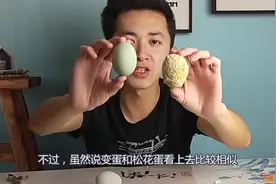 这“变蛋”和“松花蛋”到底有什么区别？都称为皮蛋，看完涨见识视频封面
