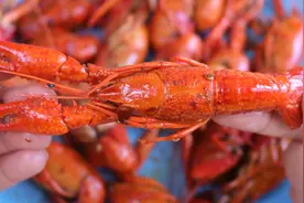 手把手教你快速剥小龙虾技巧，3秒一只，方法简单又省事，太棒啦