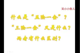 “五险一金”和“三险一金”有什么区别？视频封面