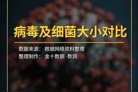 病毒及细菌大小对比：戴口罩预防真的很重要！