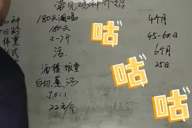 阉鸡，线鸡，腺鸡……