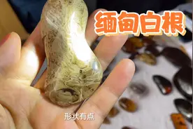 乍一看上万的白花根琥珀，缅甸老板娘为啥只卖1500？一定得擦亮眼视频封面