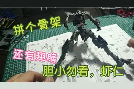 【手残拼装】8820骨架组装，胆小勿看，骷髅哦