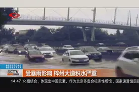 成都：受暴雨影响梓州大道积水严重，过往车辆和行人注意安全视频封面