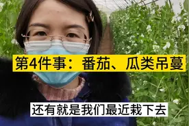 看完明白适合下雨天干的农活有哪些？有哪些农活必须在下雨天干？