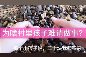 80元一斤的山茶油原来是这样来的！农村姑娘想请小学生帮忙，没想视频封面
