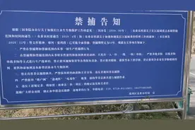电动汽车游钓丹水:堵河张湾区段禁钓？看看堵河口公告视频封面