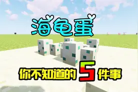 我的世界：海龟蛋你不知道的5件事，千万别在僵尸旁边孵化海龟！