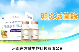 蛋禽输卵管炎优选—卵炎活菌酶