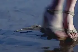 格子兮-原来我是第三者