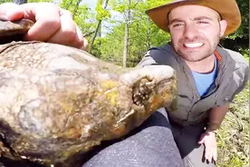 被鳄龟咬住不松口，怎么做它才会松口？办法其实很简单