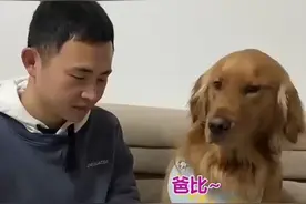 多多为爸爸题他爸爸还叫多多爸爸视频封面