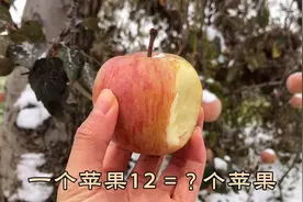 苹果，成就了牛顿和乔布斯，也成就了每一个精心呵护它们的农民视频封面