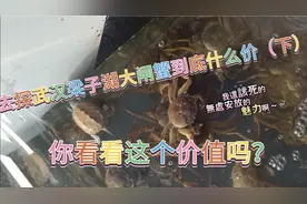 驱车一个小时终于来到梁子湖，看看这大闸蟹在你心中值多少？视频封面