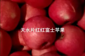 天水红富士苹果视频封面