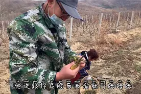 乍暖还寒的季节，一句“挖婆婆丁去呀”是多么有诱惑力啊视频封面