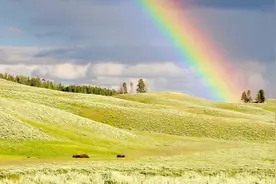 小学二年级语文重点古诗解析10：赋得古原草送别