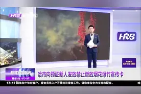 哈尔滨禁止燃放烟花爆竹做的有多彻底？新人领证还要领宣传卡视频封面