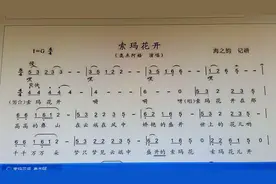 索玛花开。旋律也太好听了。视频封面