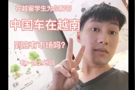 中国汽车在越南的处境视频封面