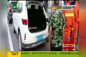 车主发现自己车子里有条眼镜蛇！消防员竟然徒手抓获！视频封面